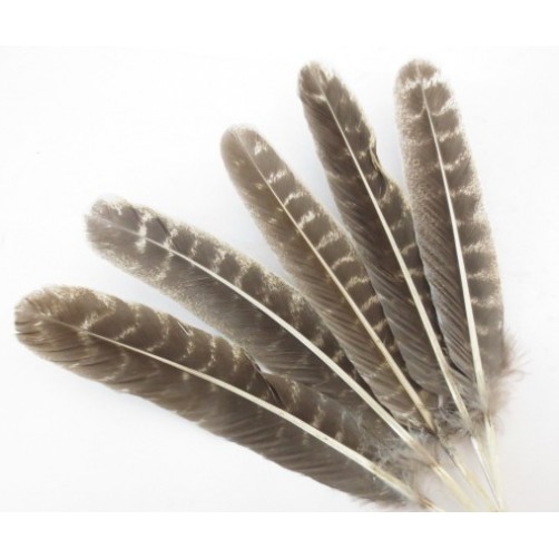 Pero za razpihovanje kadil, rjavo